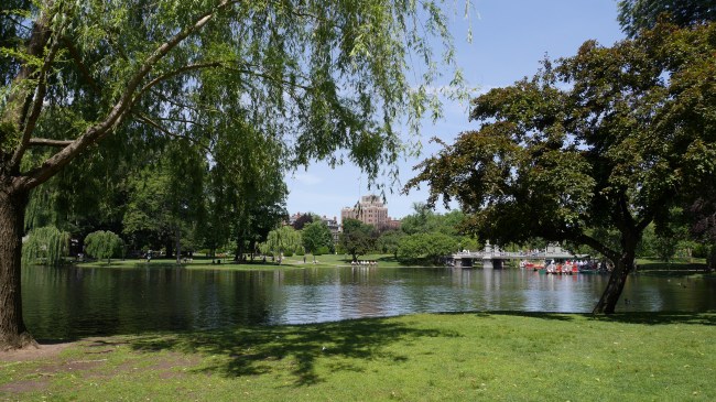 Boston Common