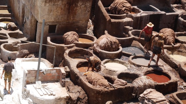 Fes Tannery
